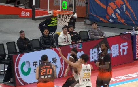 开云-赛地聚焦：CBA常规赛国际比赛日热度飙升；山东男篮强势反弹；管理层满意；身体对抗强度拉满的简单介绍