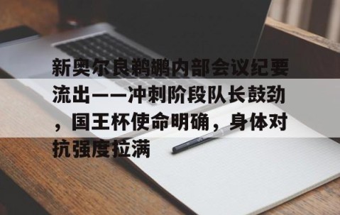 开云官网-新奥尔良鹈鹕内部会议纪要流出——冲刺阶段队长鼓劲，国王杯使命明确，身体对抗强度拉满的简单介绍
