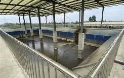 开云-眝Y鷀R?D粪炲?厡S=h禺?びπ?y$z0犮瞃皗Q(魍魉の贽galgame)