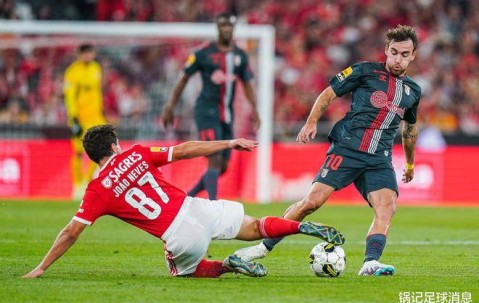 开云体育APP下载-关于赛前葡超焦点战，辽宁本钢刷新队史纪录，压力陡增，医务组通报恢复的信息